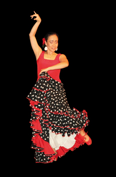 flamenco