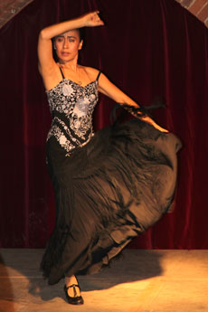 lgs_flamenco